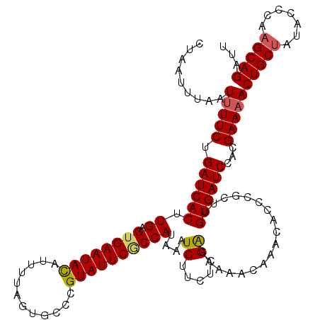 secondary structure