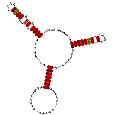 secondary structure