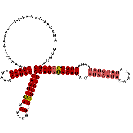 secondary structure