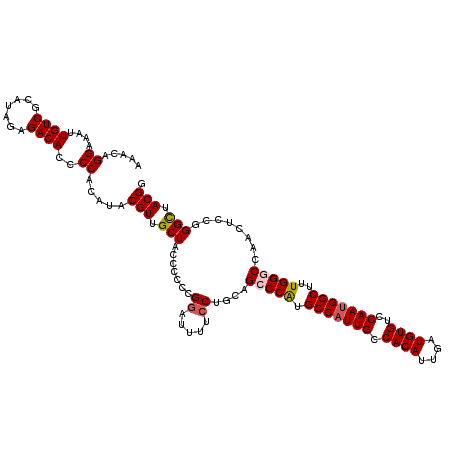 secondary structure