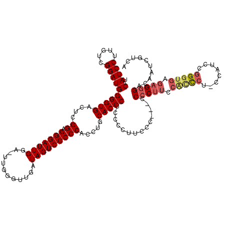 secondary structure