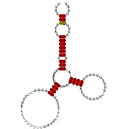 secondary structure