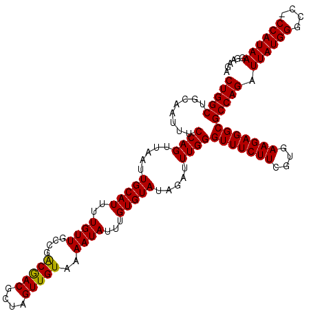 secondary structure