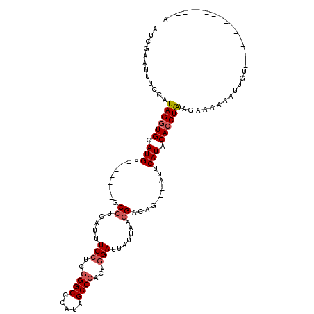 secondary structure