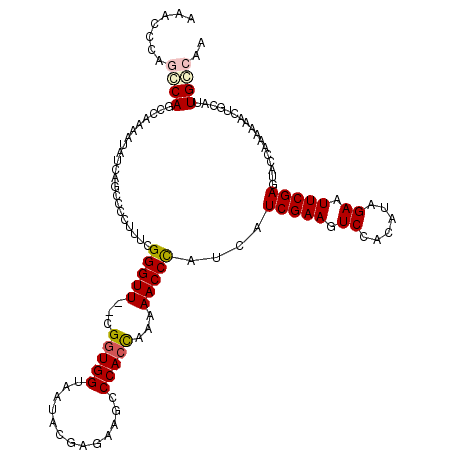 secondary structure
