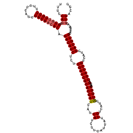 secondary structure