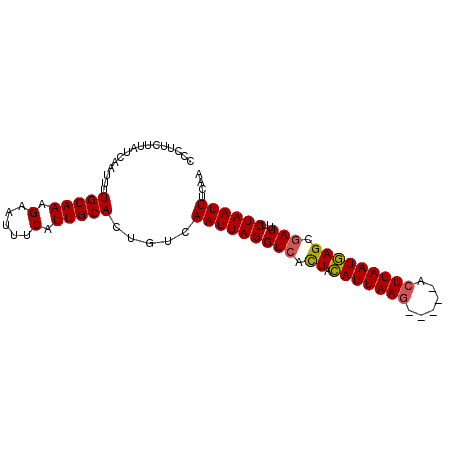 secondary structure