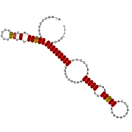 secondary structure
