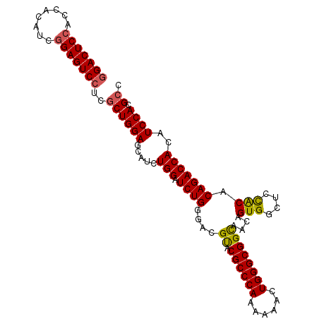 secondary structure