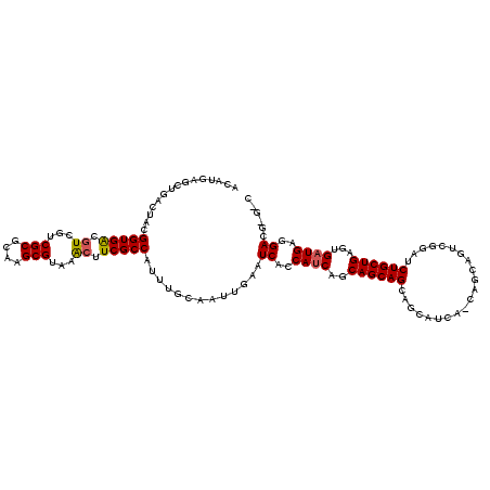 secondary structure