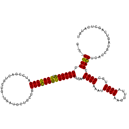 secondary structure