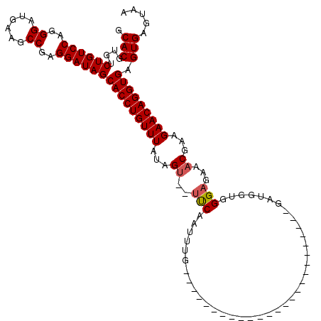 secondary structure