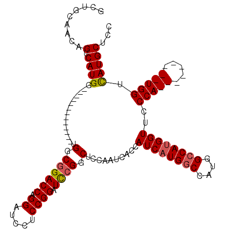 secondary structure