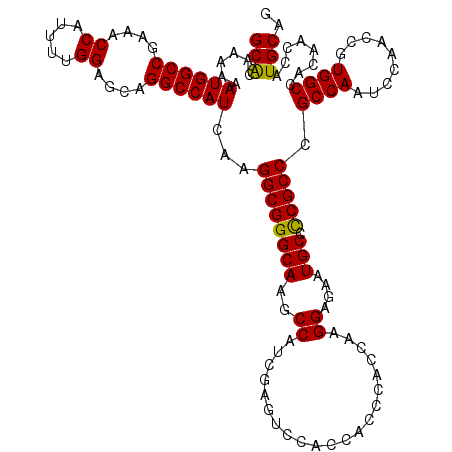 secondary structure