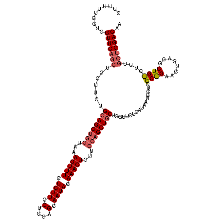 secondary structure