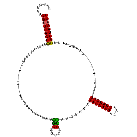 secondary structure