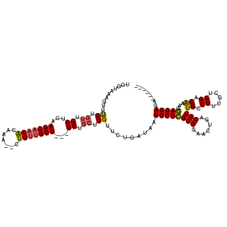 secondary structure
