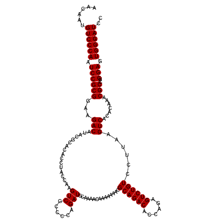 secondary structure