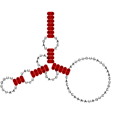 secondary structure