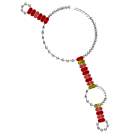 secondary structure