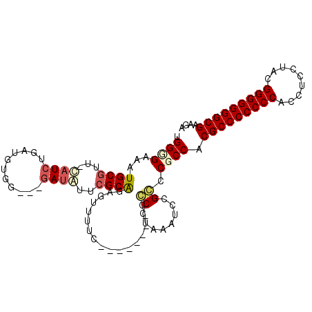 secondary structure