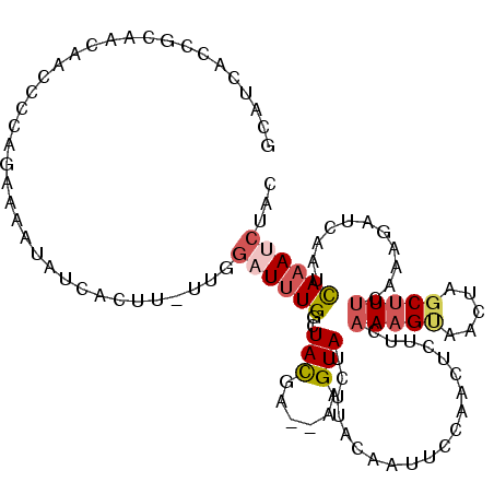 secondary structure