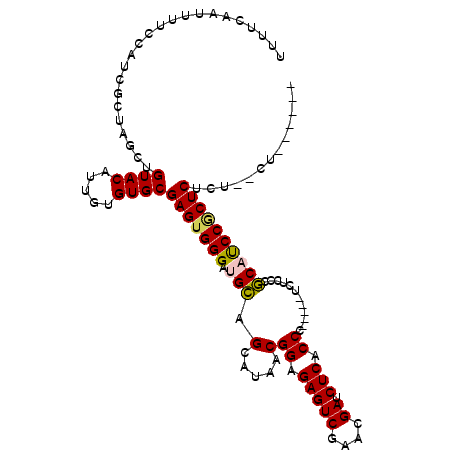 secondary structure
