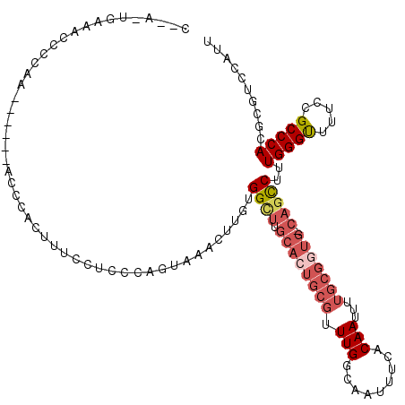 secondary structure