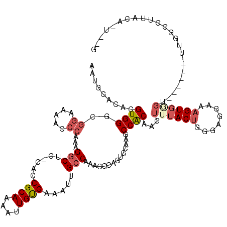 secondary structure