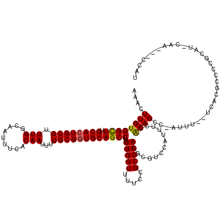 secondary structure