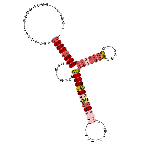 secondary structure