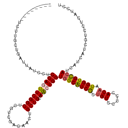 secondary structure