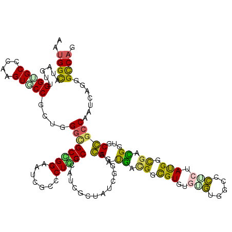 secondary structure