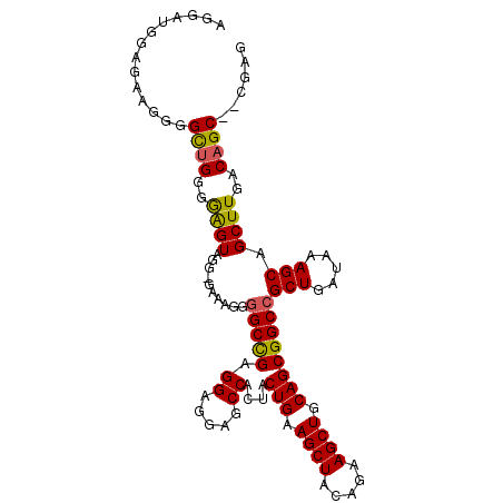 secondary structure