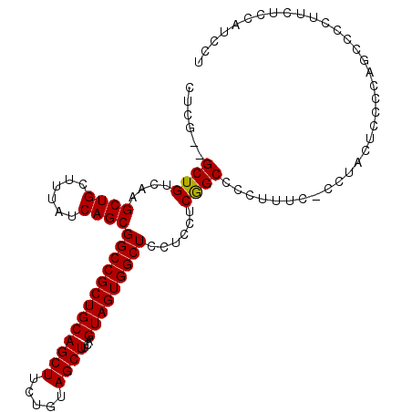 secondary structure