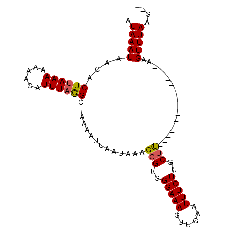 secondary structure