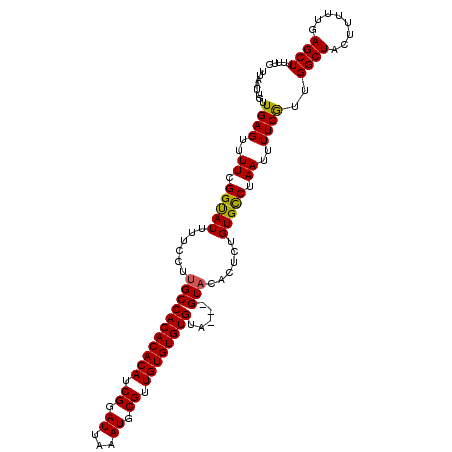 secondary structure