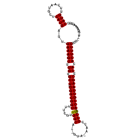 secondary structure