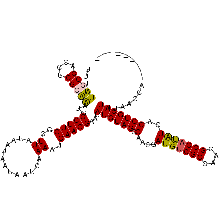 secondary structure