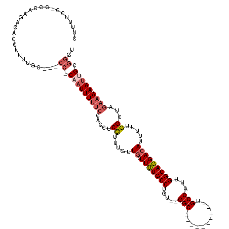 secondary structure