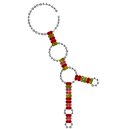secondary structure