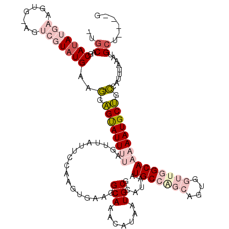 secondary structure