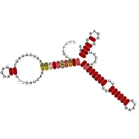 secondary structure