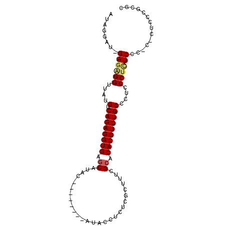 secondary structure