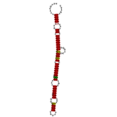 secondary structure
