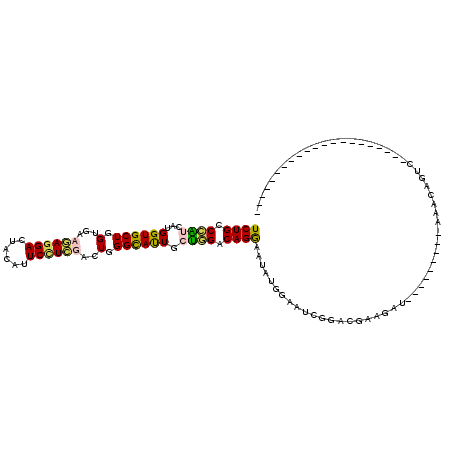 secondary structure