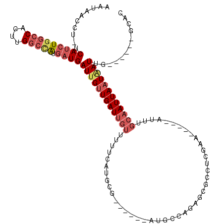 secondary structure