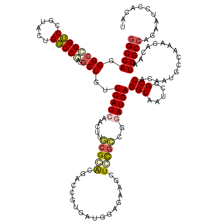 secondary structure