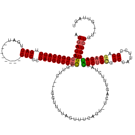 secondary structure