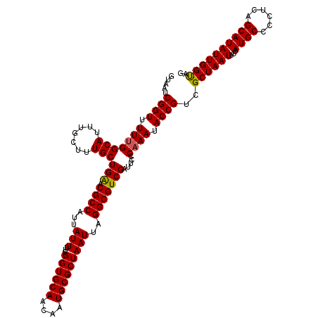 secondary structure